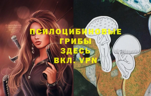 мет Алексин