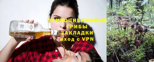 мет Алексин