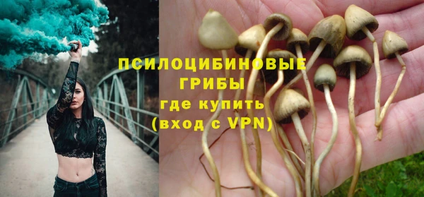 мет Алексин