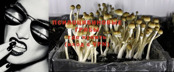 мет Алексин