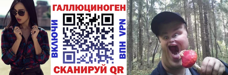 Галлюциногенные грибы мицелий  Суджа 